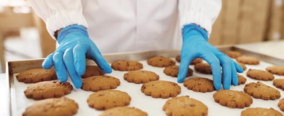 Lebensmittelsicherheits-Managementsystem ISO 22000