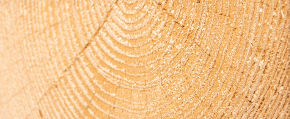 UKTR United Kingdom Timber Regulation