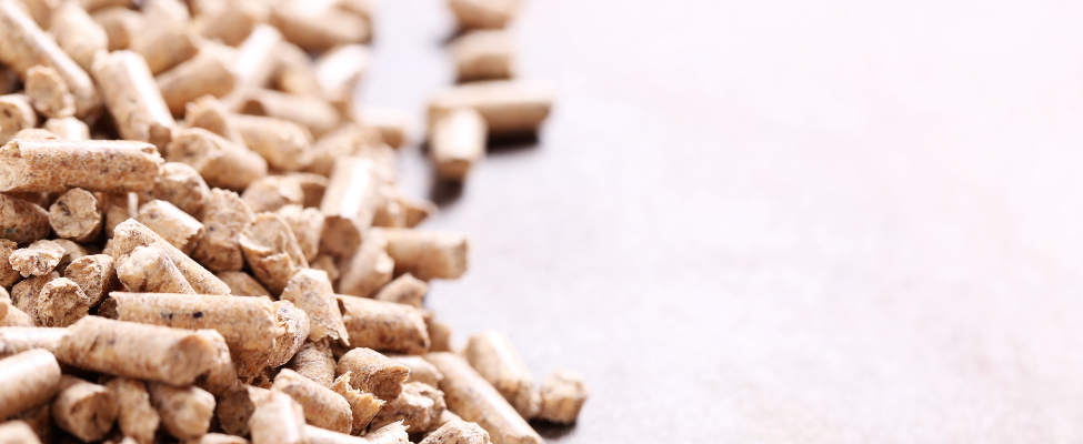 Програма сталого використання біомаси (SBP)