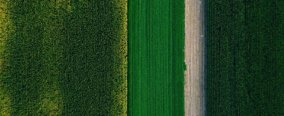 ES Taksonomija (EU Taxonomy)